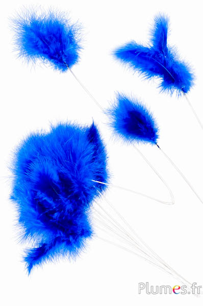 Rispe 3 Federn - Höhe 36 cm - blau